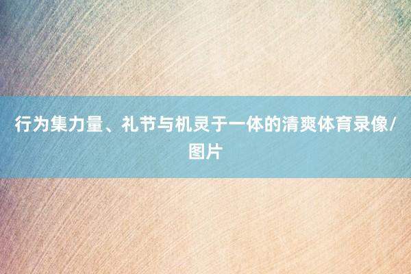 行为集力量、礼节与机灵于一体的清爽体育录像/图片