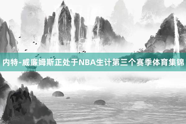 内特-威廉姆斯正处于NBA生计第三个赛季体育集锦