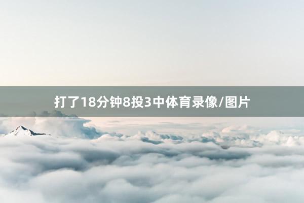 打了18分钟8投3中体育录像/图片