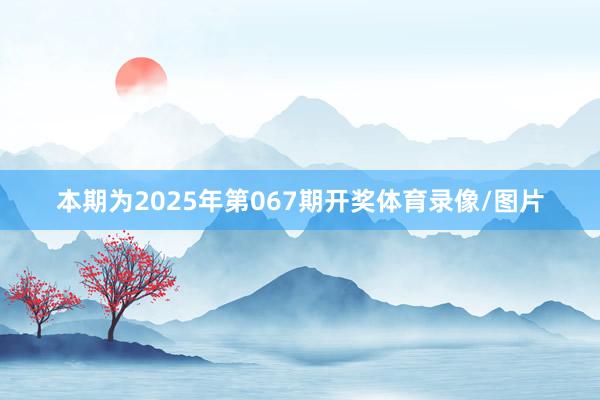 本期为2025年第067期开奖体育录像/图片
