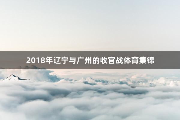 2018年辽宁与广州的收官战体育集锦
