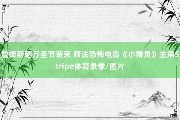 詹姆斯晒万圣节装束 师法恐怖电影《小精灵》主角Stripe体育录像/图片