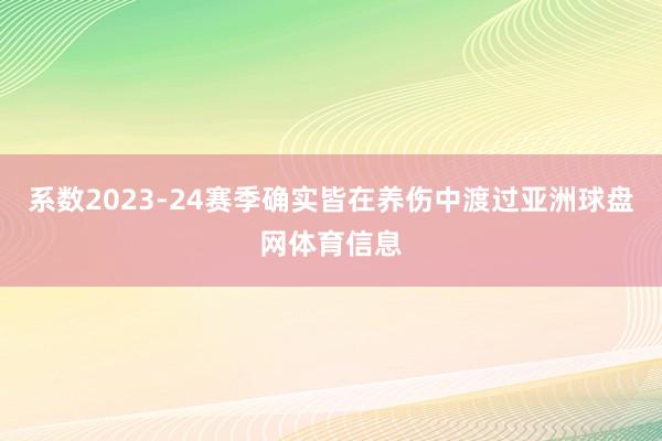 系数2023-24赛季确实皆在养伤中渡过亚洲球盘网体育信息