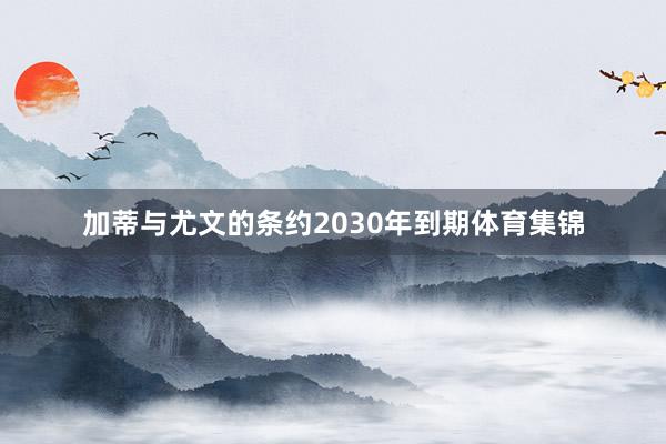 加蒂与尤文的条约2030年到期体育集锦