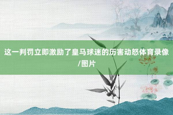 这一判罚立即激励了皇马球迷的历害动怒体育录像/图片