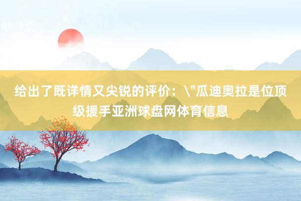 给出了既详情又尖锐的评价：