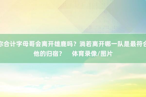 你合计字母哥会离开雄鹿吗？淌若离开哪一队是最符合他的归宿？    体育录像/图片