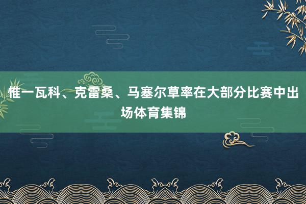 惟一瓦科、克雷桑、马塞尔草率在大部分比赛中出场体育集锦